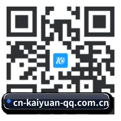 系统版 iOS 二维码